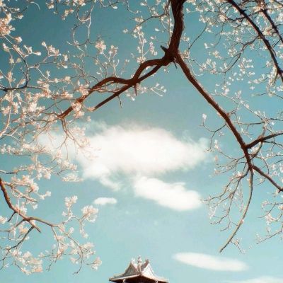 塔塔帝国九游版下载
